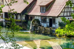 Fotograf Stuttgart Hochzeit Hochzeitsfotograf Blautopf