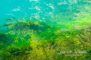 Fotograf Stuttgart Hochzeit Hochzeitsfotograf Blautopf