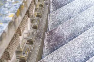 Fotograf Stuttgart Hochzeit Hochzeitsfotograf