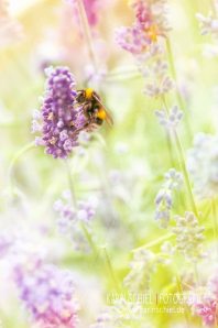 Fotograf Stuttgart Hochzeit Hochzeitsfotograf