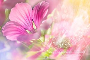 Fotograf Stuttgart Hochzeit Hochzeitsfotograf