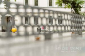 Fotograf Stuttgart Fotoshooting Eventfotografie