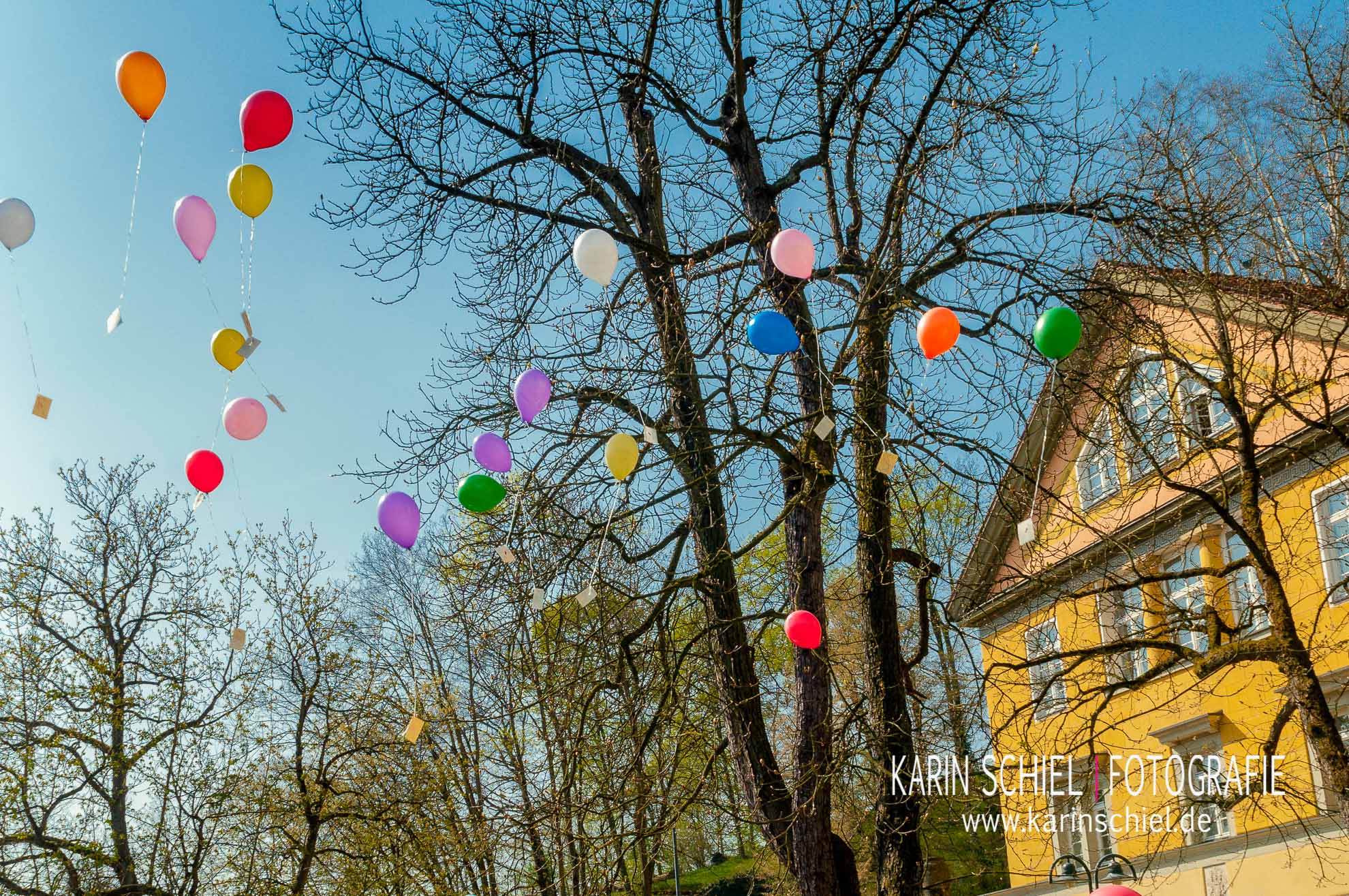 Fotoshooting Fotograf Stuttgart Eventfotograf Event Hochzeit Hochzeitsfotograf