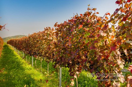 Fotograf Stuttgart Eventfotograf Event Hochzeit Hochzeitsfotograf