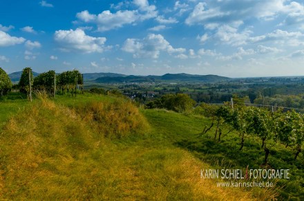 Fotograf Stuttgart Eventfotograf Event Hochzeit Hochzeitsfotograf