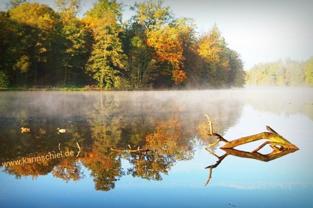 Fotoshooting Fotograf Stuttgart Eventfotograf Event Hochzeit Hochzeitsfotograf