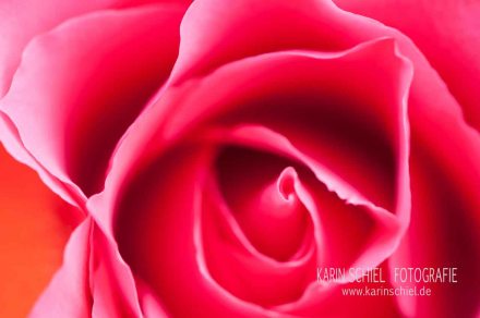 Fotoshooting Fotograf Stuttgart Eventfotograf Event Hochzeit Hochzeitsfotograf