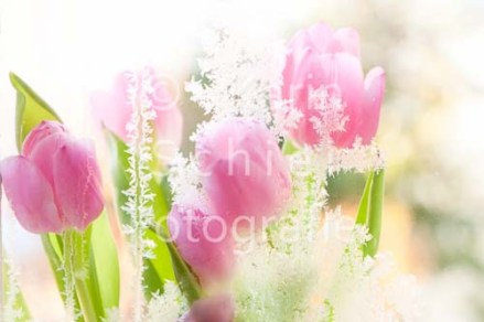 Fotoshooting Fotograf Stuttgart Eventfotograf Event Hochzeit Hochzeitsfotograf