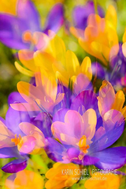 Fotoshooting Fotograf Stuttgart Eventfotograf Event Hochzeit Hochzeitsfotograf