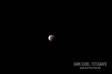 Fotografin Hochzeit Stuttgart Mondfinsternis