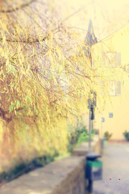 Tübingen Fotograf Stuttgart Reise Fotografie