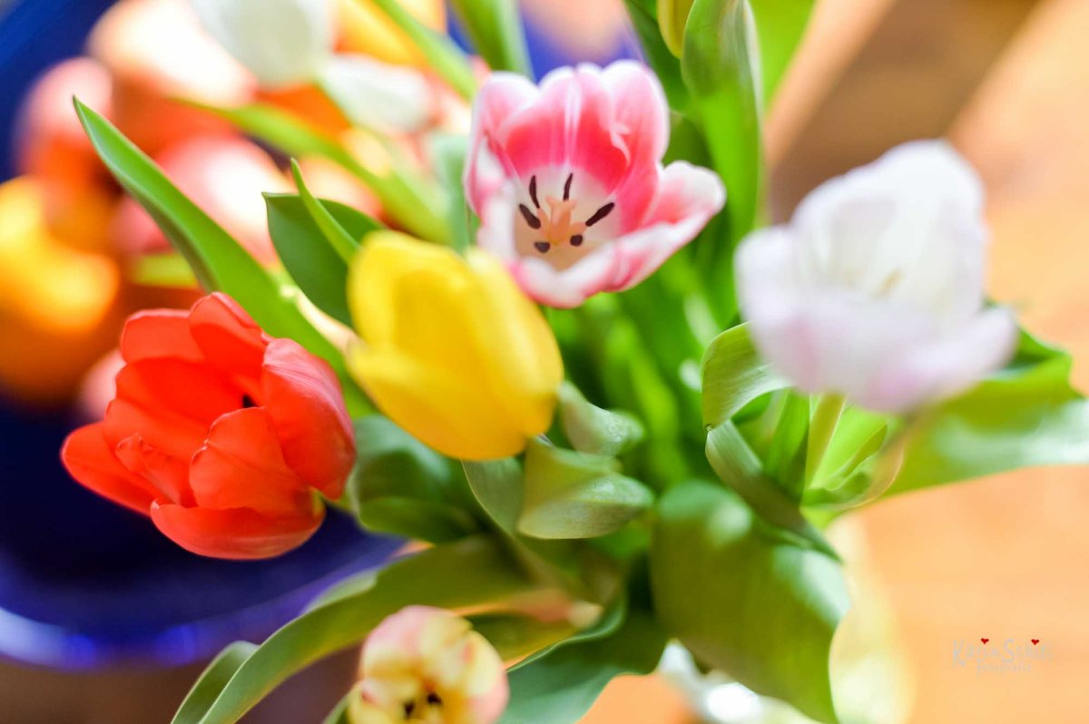 Fotograf Hochzeit Stuttgart