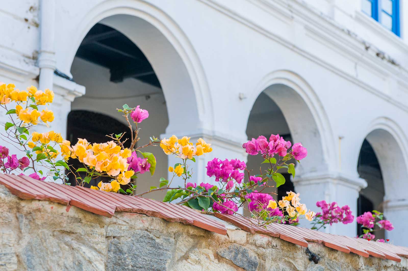 Fotograf Hochzeit Stuttgart Reisefotografie Brautpaarshooting