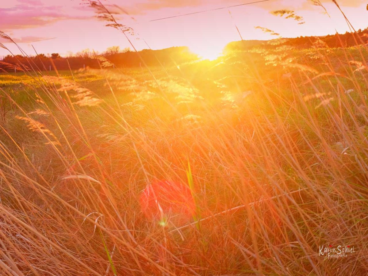 Reisefotografie Travel Wedding Newborn Portrait