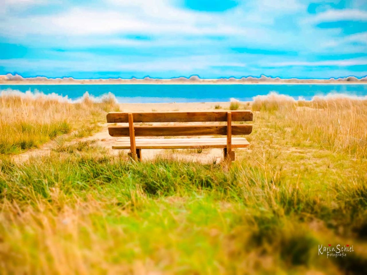 Travel Photography Wedding Newborn Portrait Stuttgart Germany