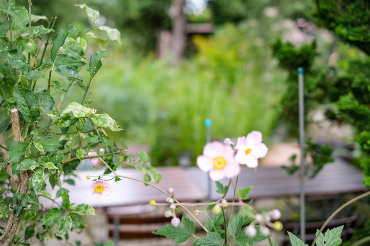 2. leben, Frausein, Transgender, Personenstandsänderung